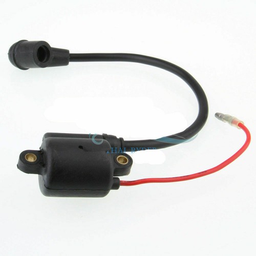 Ignition coil for - ignition,